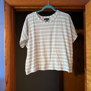 Modern Works Striped Boxy Tee in Light Green & White